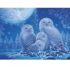 RAVENSBURGER 16595 500 Pcs PUZZLE OWLS-STARLINE - Image 2