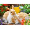 RAVENSBURGER 05144 2X12 Pcs PUZZLE CUTE ANIMALS - Image 3