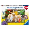 RAVENSBURGER 05144 2X12 Pcs PUZZLE CUTE ANIMALS