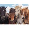 RAVENSBURGER PUZZLE 2x24 Pcs HORSES 05148 - Image 2