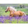 RAVENSBURGER PUZZLE 2x24 Pcs HORSES 05148 - Image 3