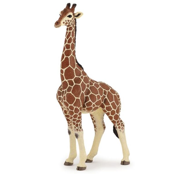 50149 PAPO WILD GIRAFFE MALE KOUREAS TOYS