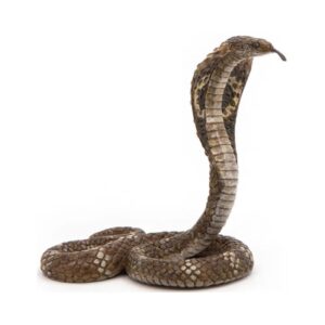 50164 PAPO WILDLIFE KING COBRA FIGURINE KOUREAS TOYS
