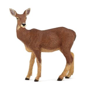 Doe 53014
