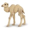 50221 PAPO WILD CAMEL CALF