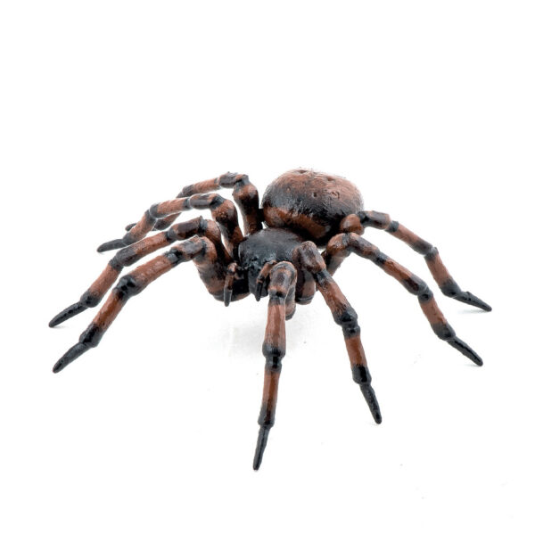 50292 PAPO GARDEN ANIMALS COMMON SPIDER KOUREAS TOYS