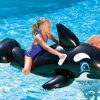 LARGE INFLATABLE JUMBO WHALE RIDER RIDE ON 860611 - Image 2