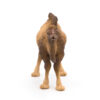 50129 PAPO WILD BACTRIAN CAMEL KOUREAS TOYS