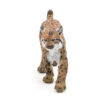 50241 PAPO WILD LYNX - Image 2