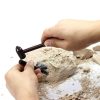 DINOSAUR LAB ARCHEOLOGY FOSSIL EXCAVATION KIT - Image 4