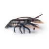 56052 PAPO MARINE LIFE LOBSTER