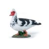 51189 PAPO FARMYARD DOMESTIC MUSCOVY DUCK