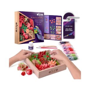 SENSORY ART WOOD & CRAFT DIY SUCCULENTS - PASSION 10011 KOUREAS TOYS
