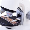 SCIENTIFIC MICROSCOPE KOUREAS TOYS