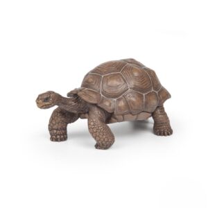 50161 PAPO WILD GALAPAGOS TORTOISE KOUREAS TOYS