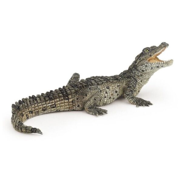 50137 PAPO WILD BABY CROCODILE KOUREAS TOYS