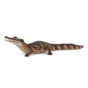 50311 PAPO WILD ANIMAL CAYMAN KOUREAS TOYS
