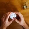 N5041 RECENT TOYS MEFFERT’S MORPH'S EGG KOUREAS TOYS