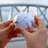 N5041 RECENT TOYS MEFFERT’S MORPH'S EGG KOUREAS TOYS