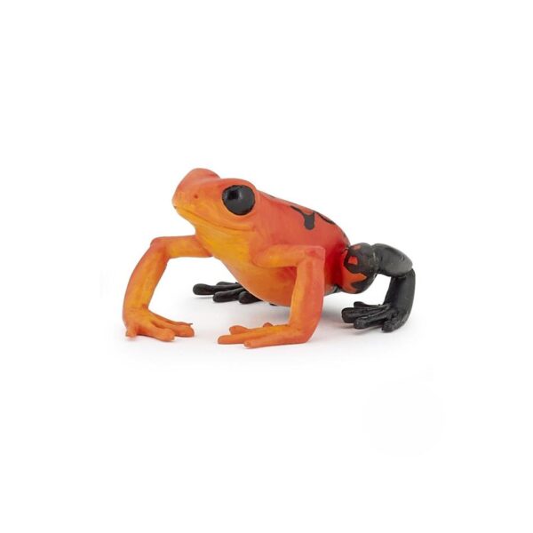 50193 PAPO RED WILD EQUATORIAL FROG KOUREAS TOYS