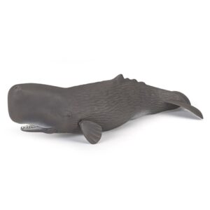 56036 PAPO MARINE LIFE SPERM WHALE KOUREAS TOYS