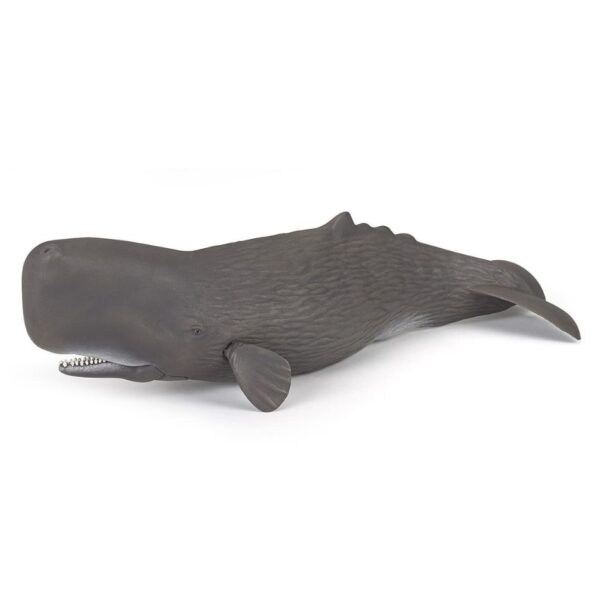 56036 PAPO MARINE LIFE SPERM WHALE KOUREAS TOYS