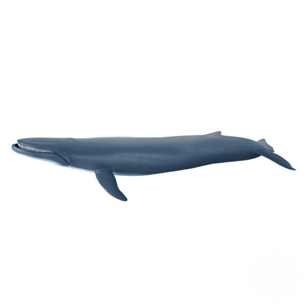 56037 PAPO NONE MARINE LIFE BLUE WHALE KOUREAS TOYS
