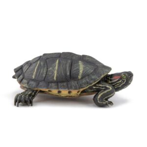50309 PAPO WILD FLORIDA TORTOISE KOUREAS TOYS