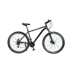 24" CHAMPIONS KAUNOS LT BOY BIKE 21 SPEED GRAY / BLACK - BURGUNDY / BLACK - GREEN / BLACK KOUREAS TOYS
